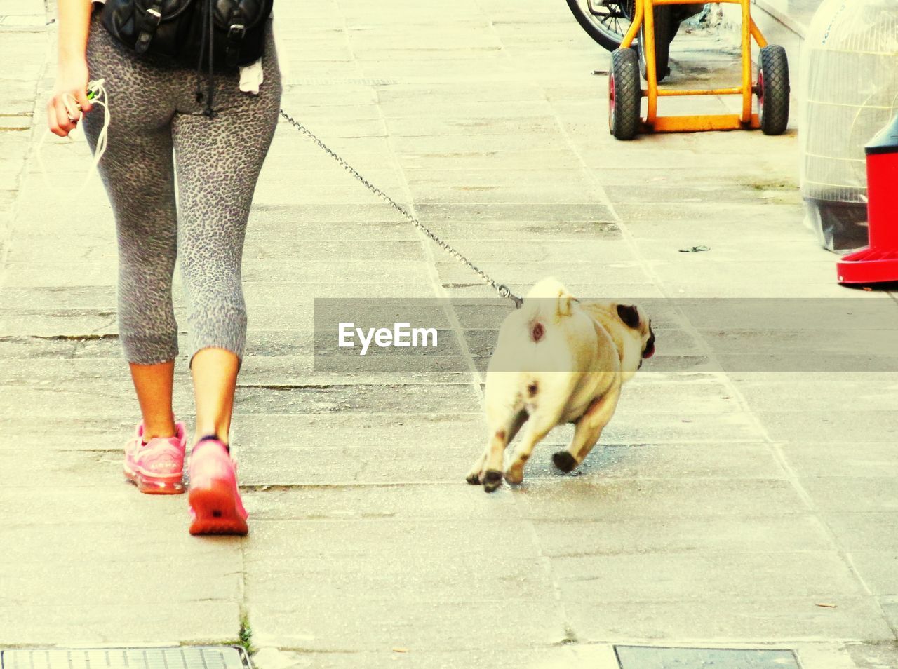 LOW SECTION OF WOMAN WITH DOG ON STREET