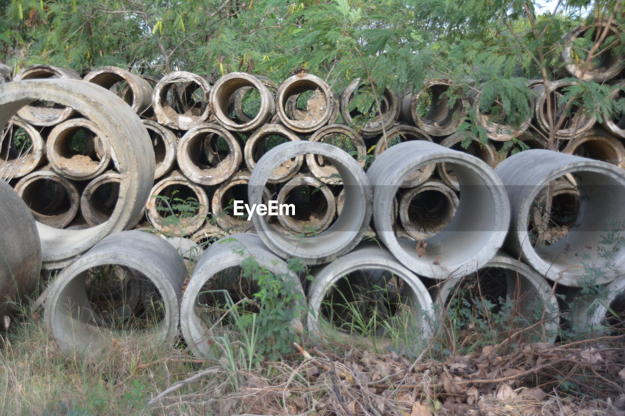 STACK OF PLANTS IN FIELD