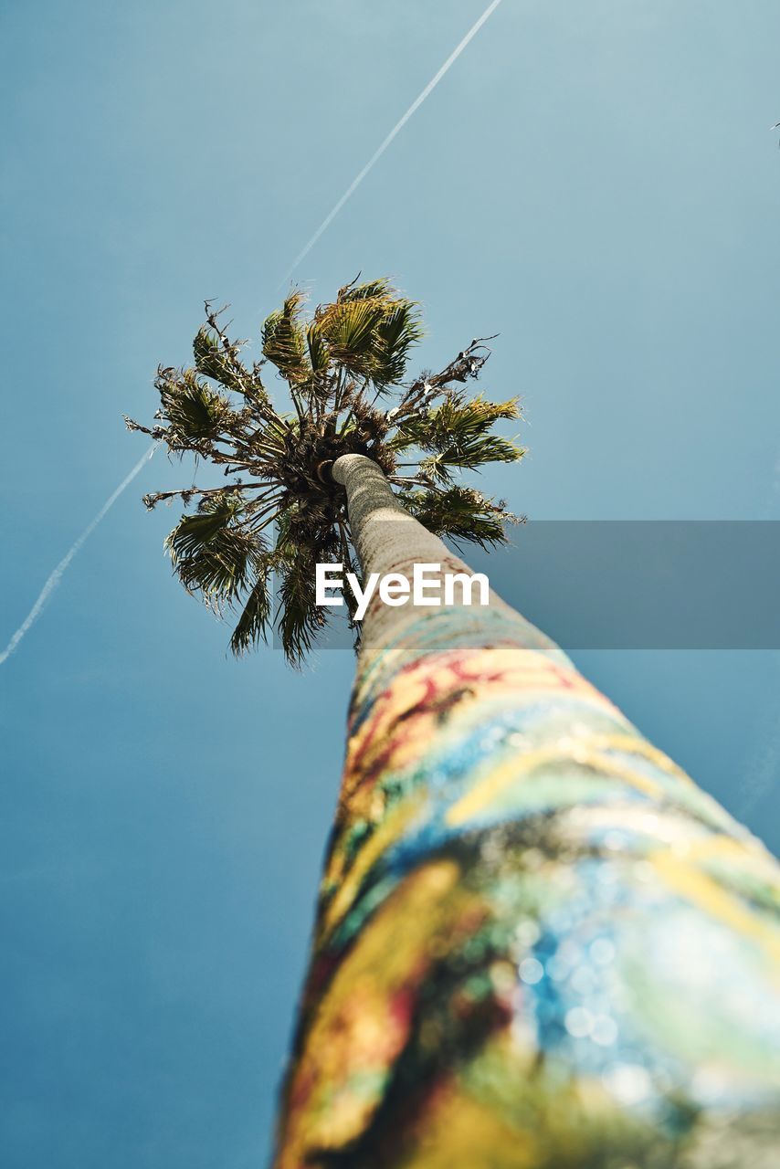 Low angle view of palm tree against clear sky