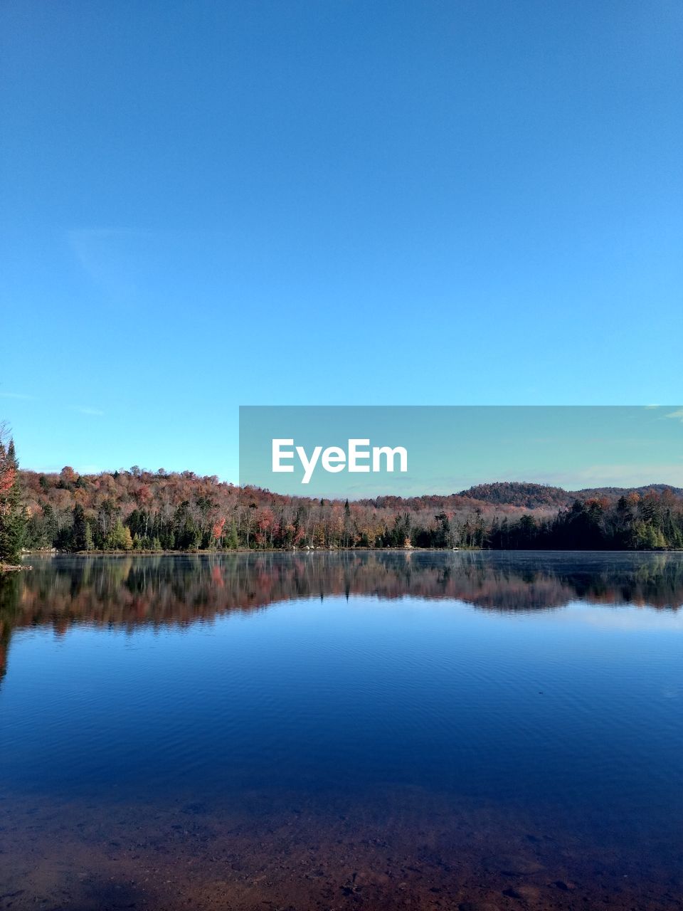 Scenic view of lake against clear blue sky