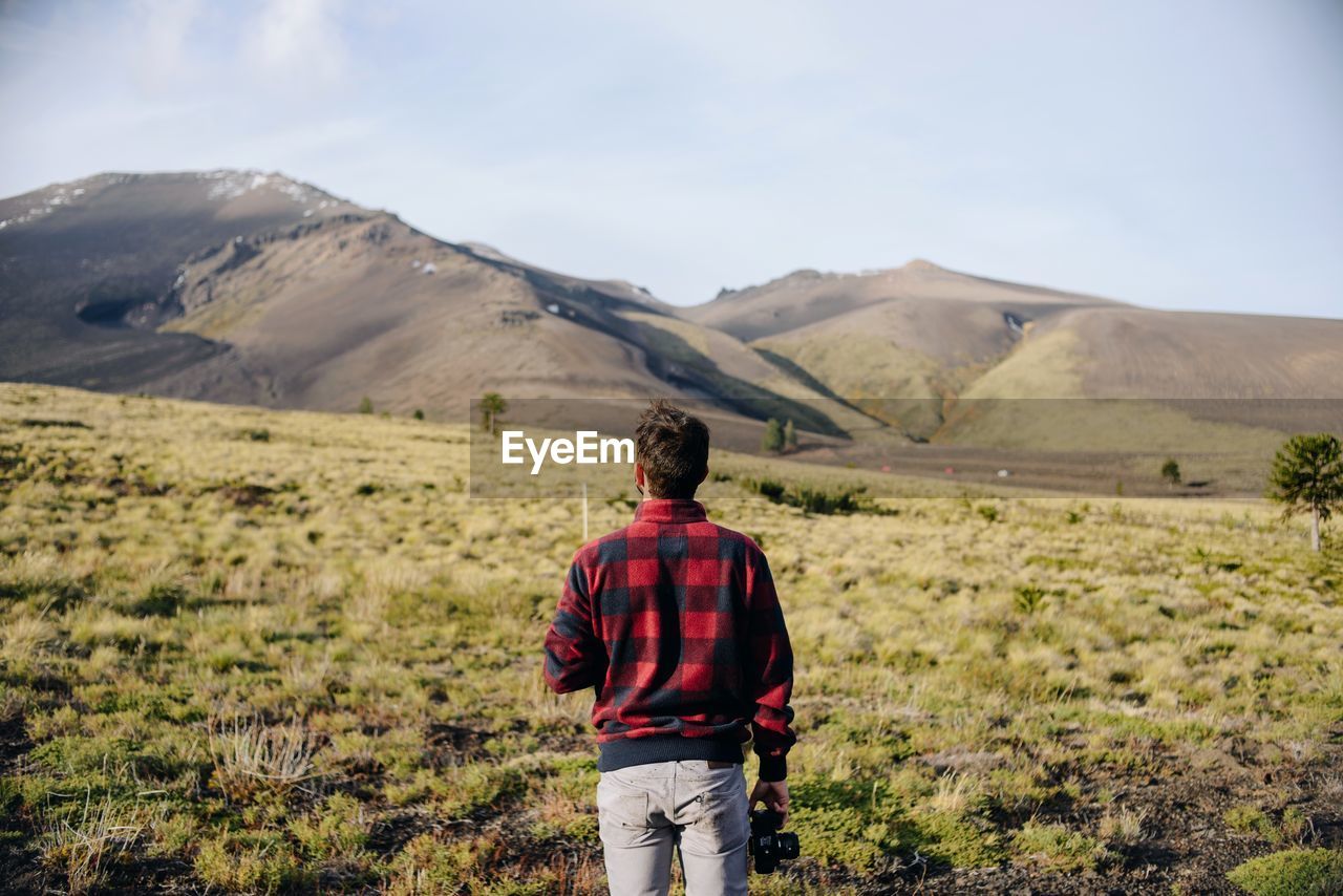 Rear view of man standing on grassy field 