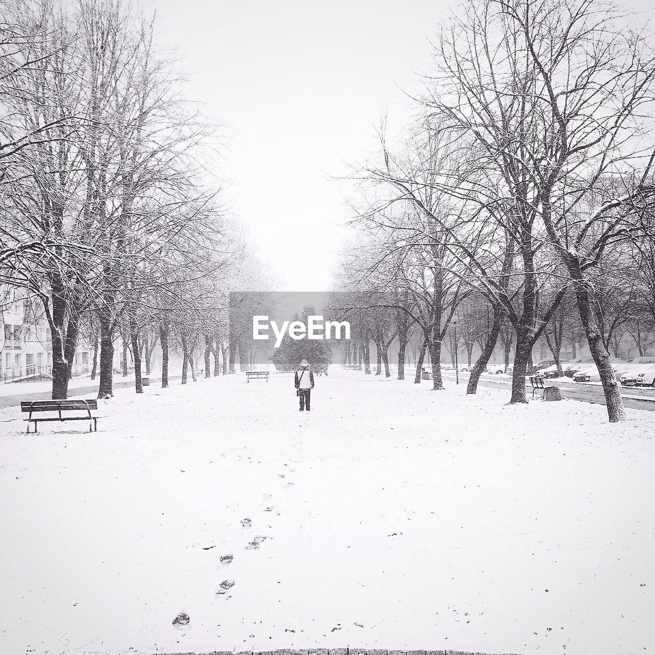 Person walking in park in winter