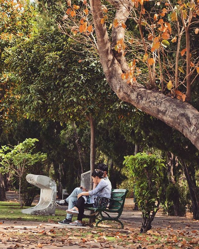 WOMAN IN PARK