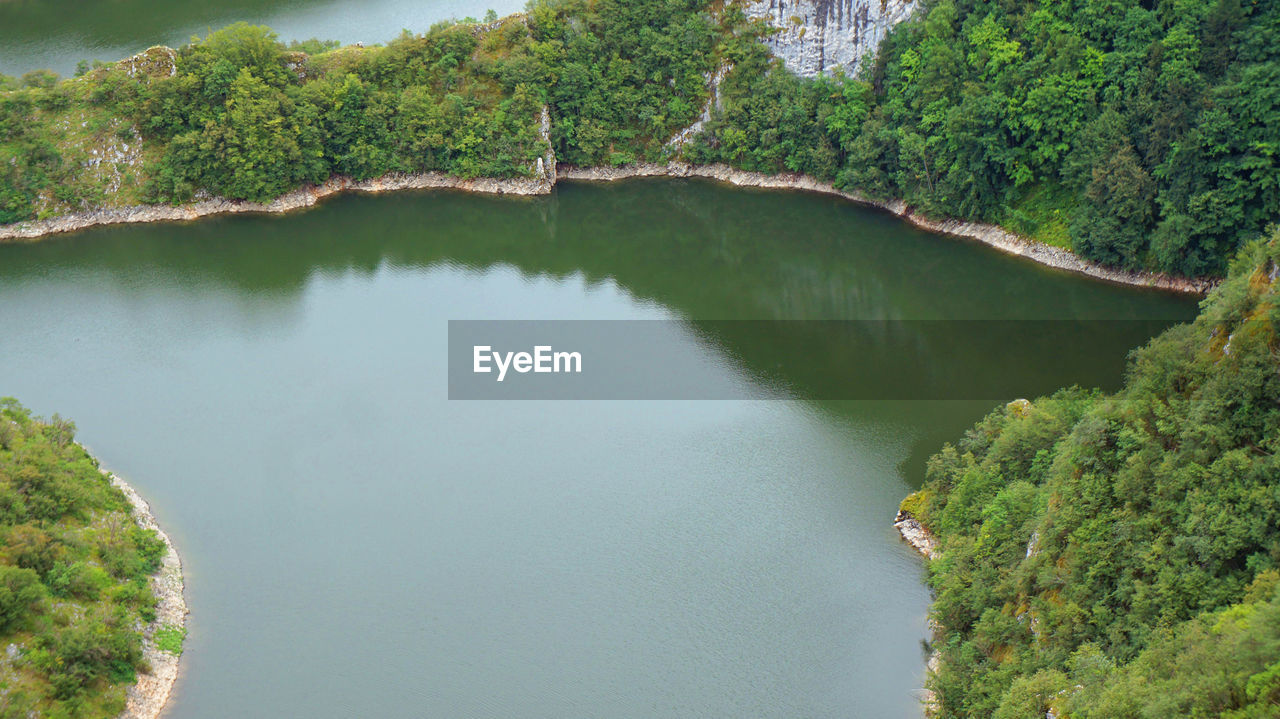 Scenic view of lake in forest