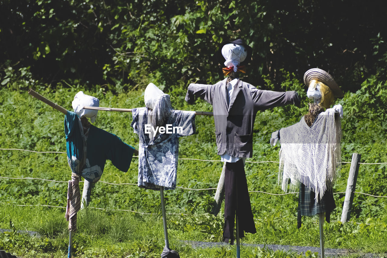 Scarecrows at farm
