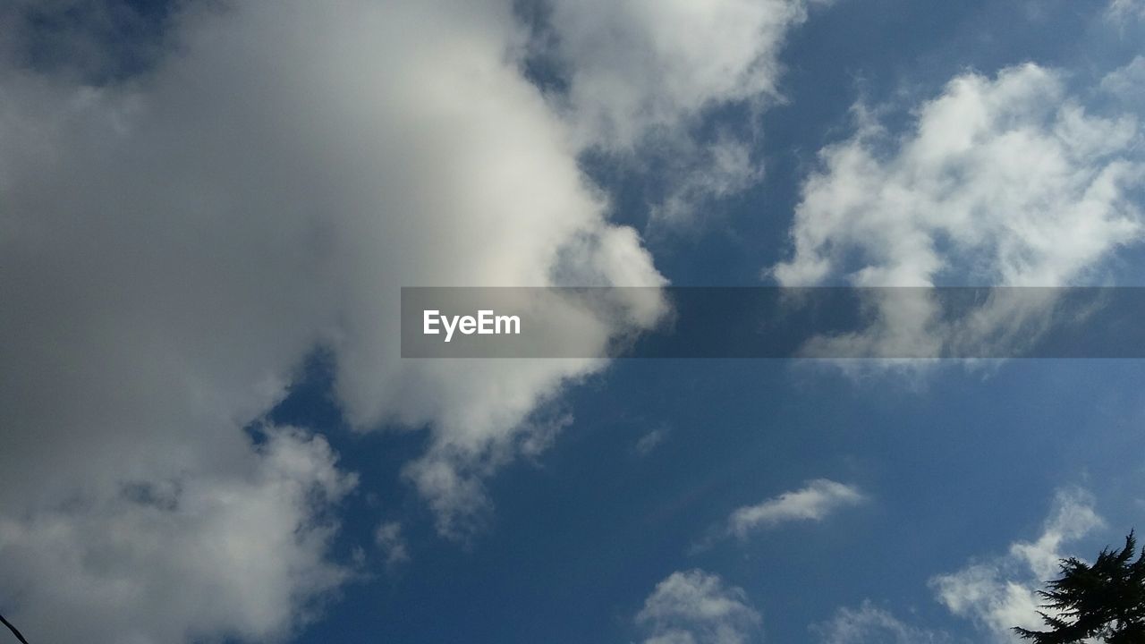 LOW ANGLE VIEW OF TREES AGAINST CLOUDY SKY