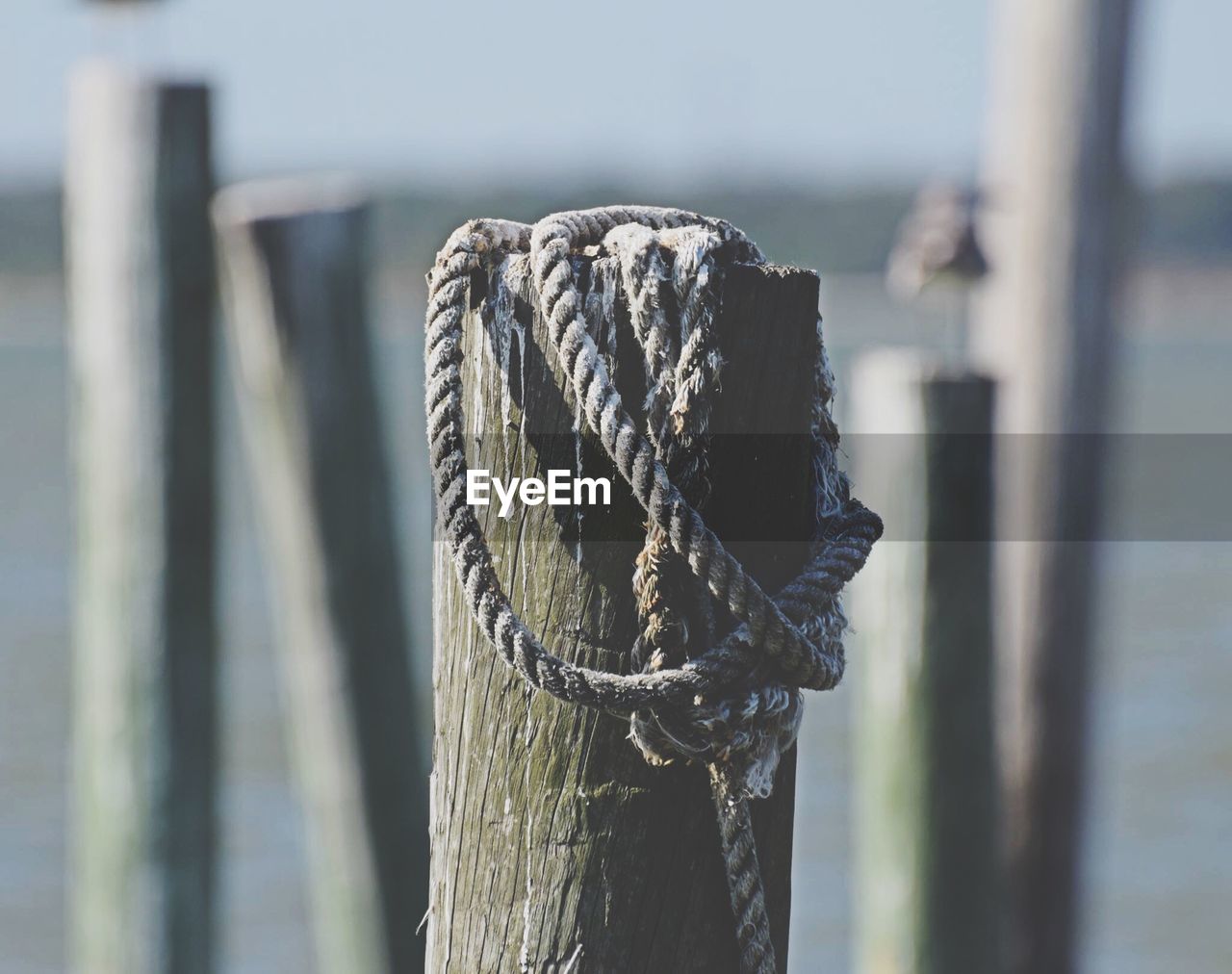 Close-up of rope on wooden post