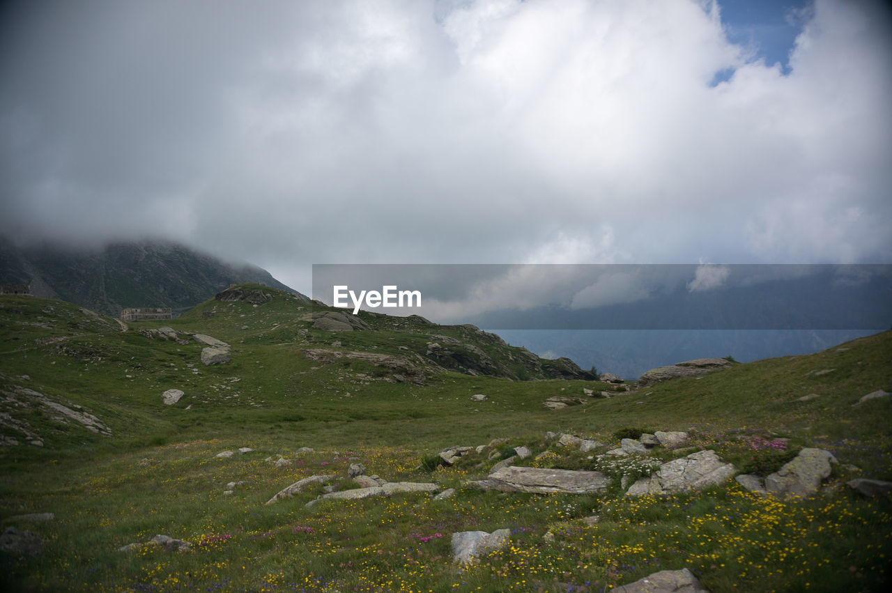 Scenic view of landscape against sky