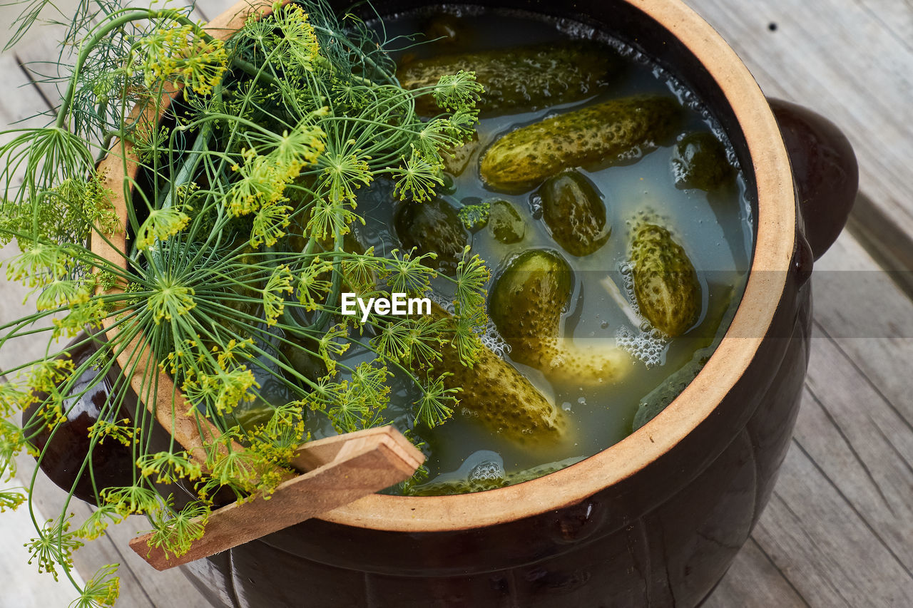 HIGH ANGLE VIEW OF FOOD ON TABLE AGAINST PLANTS