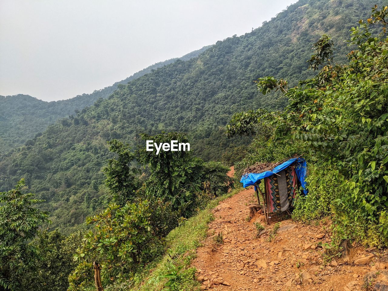 Temporary sheds built by tribal villagers for children to attend online classes on mobile network.