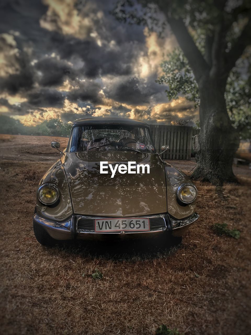 VINTAGE CAR ON FIELD