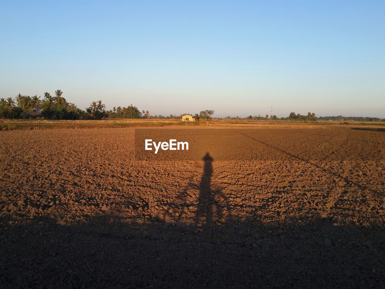 Shadow of people on field