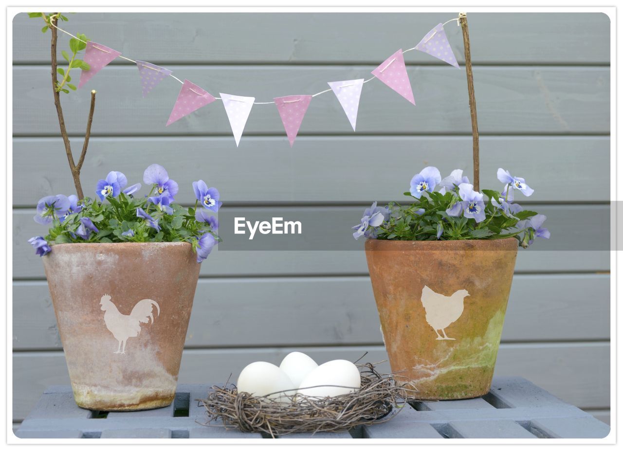 POTTED PLANTS ON TABLE