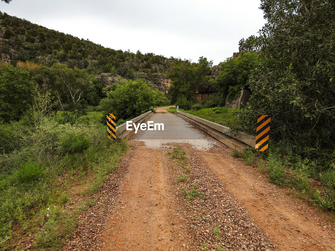 plant, road, tree, transportation, infrastructure, trail, nature, the way forward, rural area, sky, track, soil, no people, dirt road, transport, land, forest, landscape, environment, dirt, non-urban scene, outdoors, footpath, cloud, scenics - nature, diminishing perspective, day, beauty in nature, green, travel, tranquility, vanishing point, grass, waterway