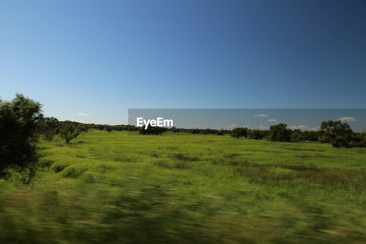 SCENIC VIEW OF FIELD AGAINST CLEAR SKY