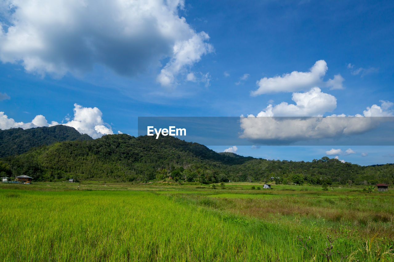 SCENIC VIEW OF FIELD BY MOUNTAINS AGAINST SKY