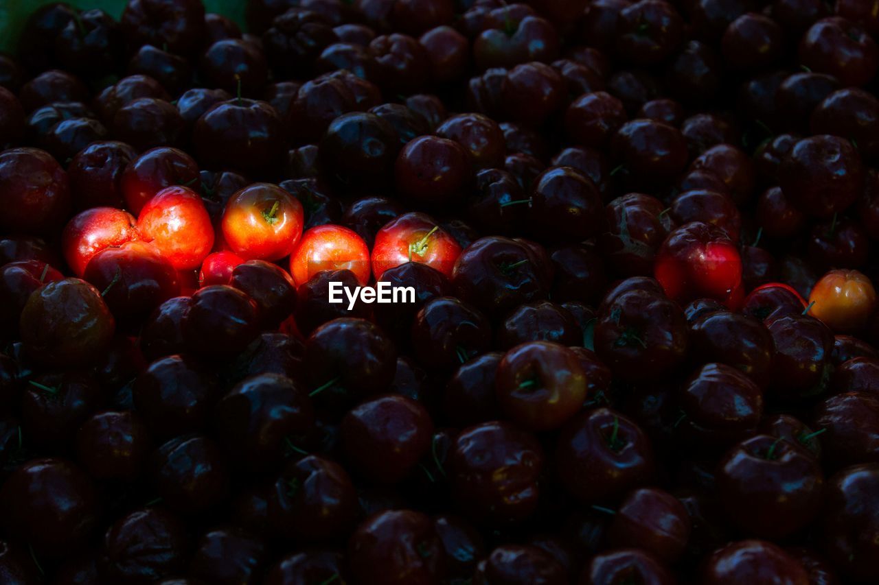 Full frame shot of tomatoes for sale