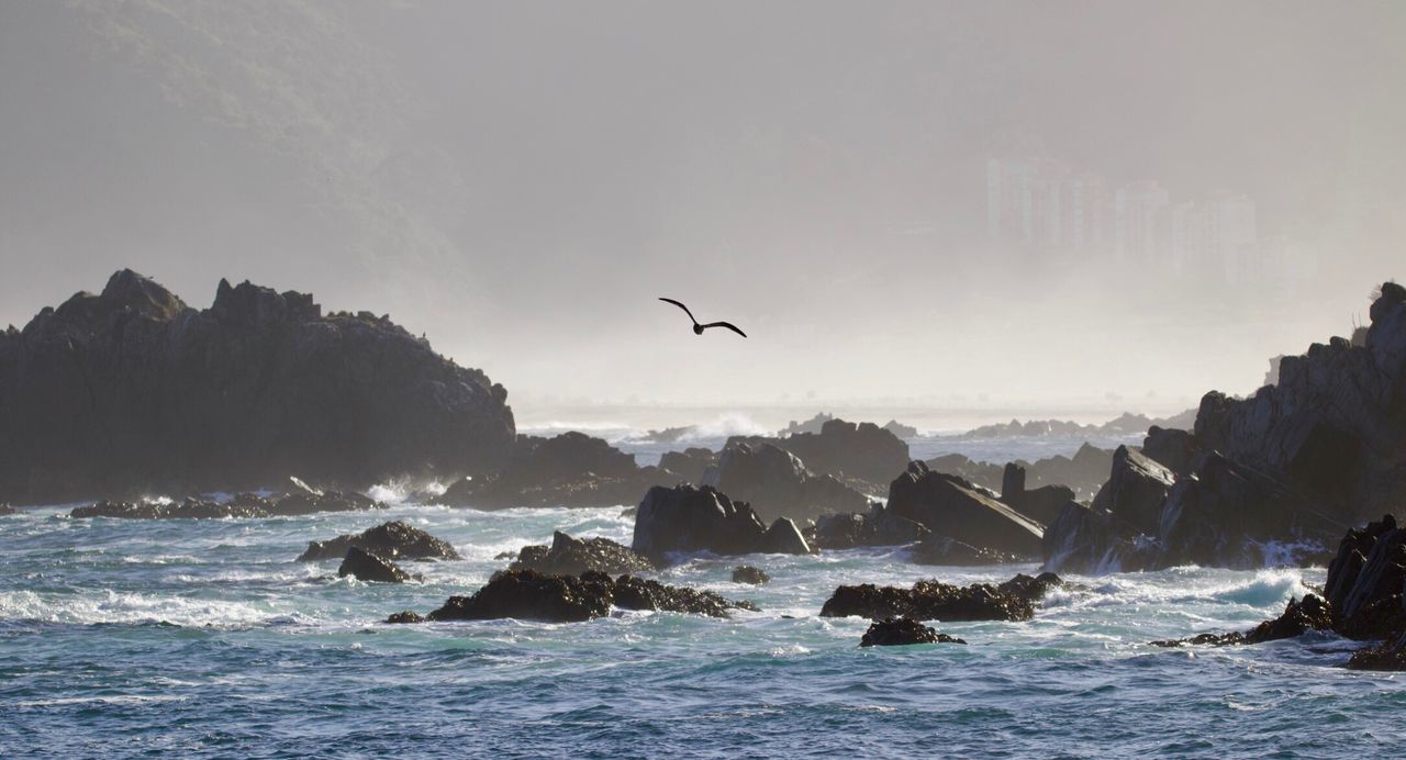 PANORAMIC VIEW OF SEA AGAINST SKY