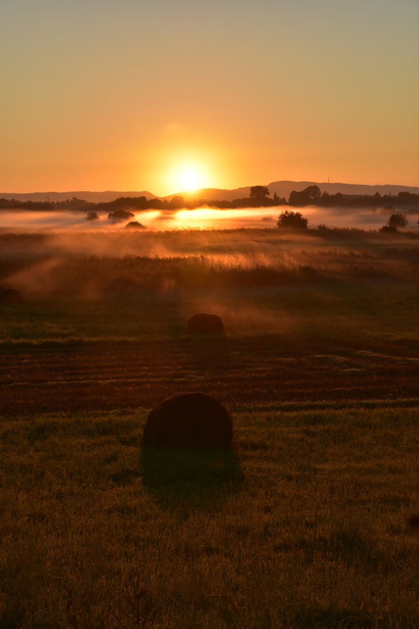 Scenic view of sea during sunset
