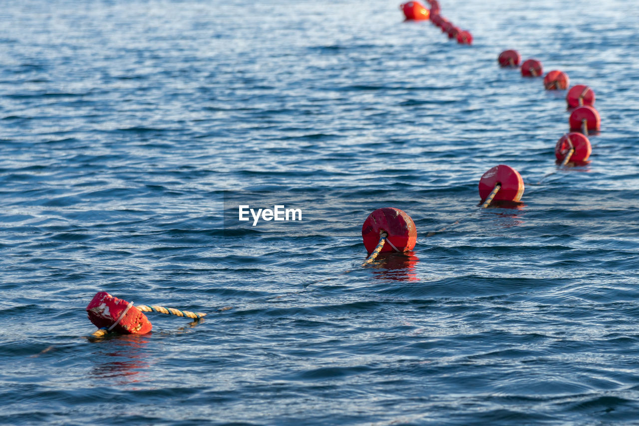 rear view of man swimming in sea