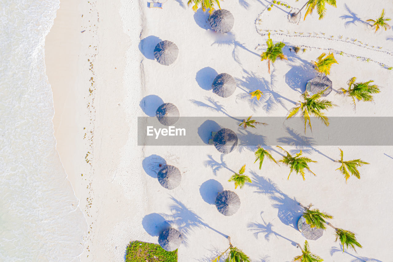 Aerial view of tropical sandy umbrellas at sunny day. summer holiday on indian ocean, zanzibar, 