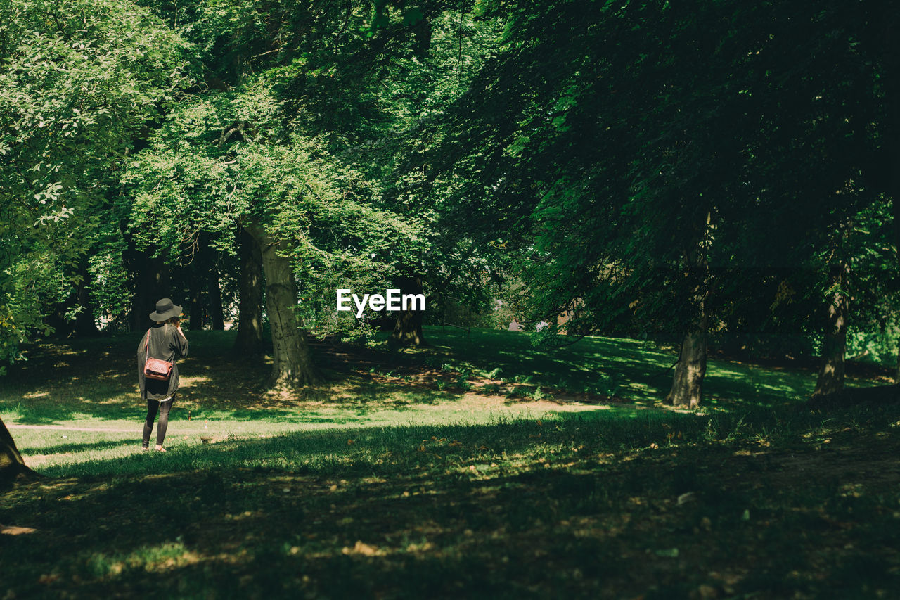 Rear view of woman walking on street amidst trees