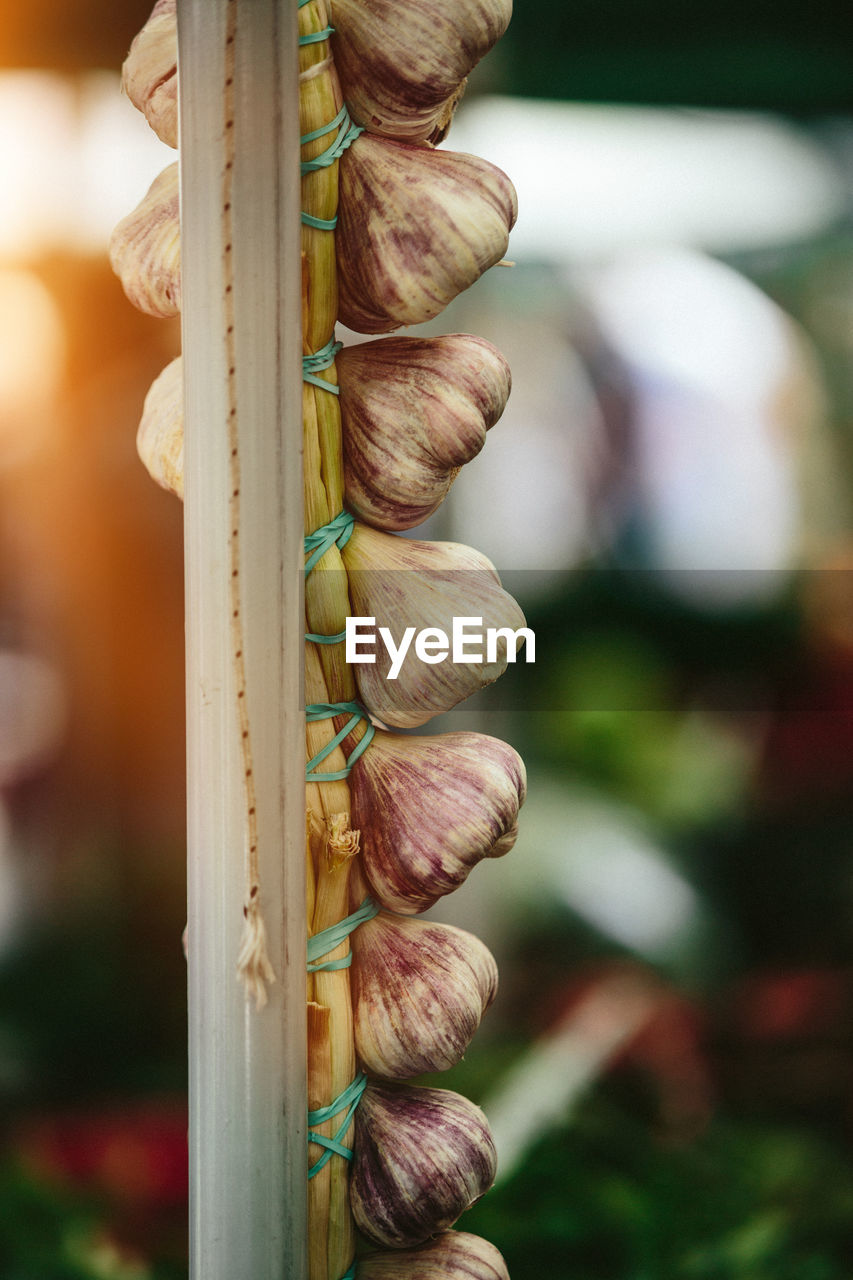 Garlic at farmers' market