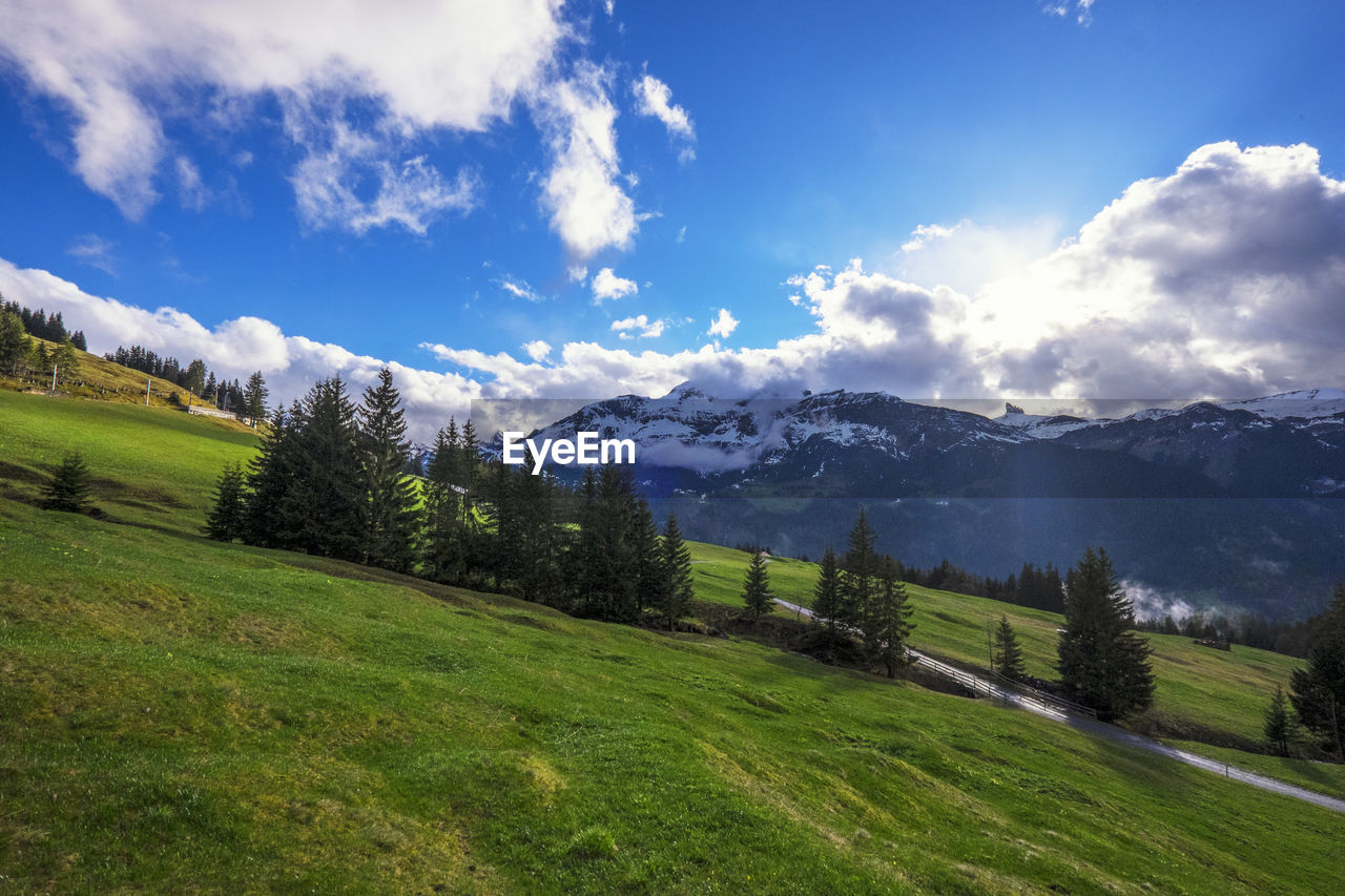 Scenic view of landscape against sky