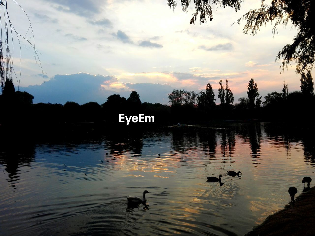 SCENIC VIEW OF LAKE AT SUNSET