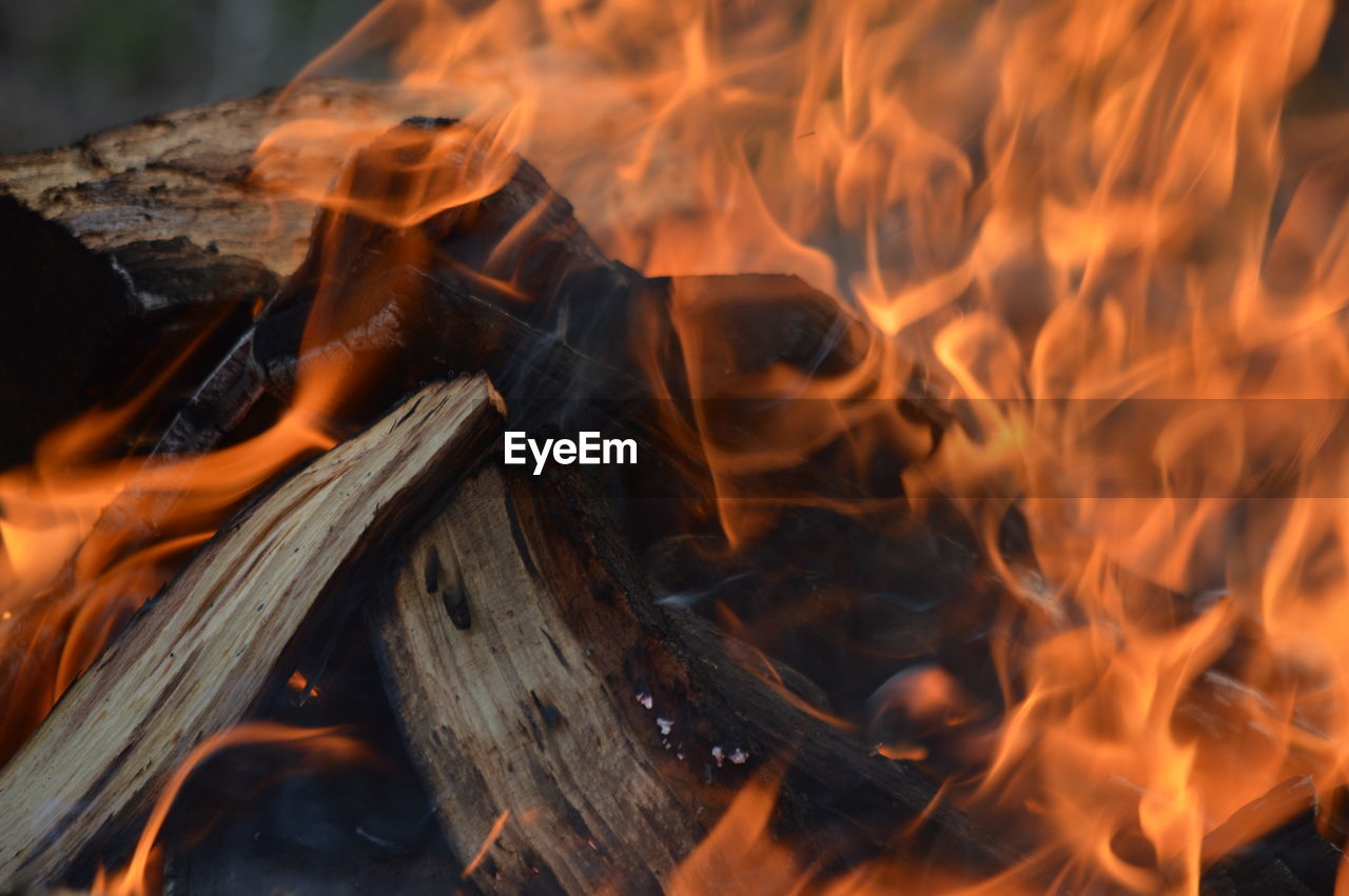 CLOSE-UP OF FIREWOOD BURNING IN FIRE