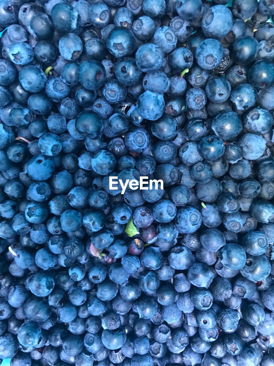 Full frame shot of blue berries