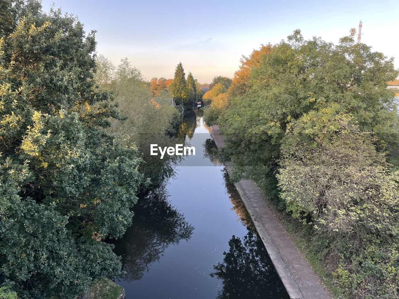 TREES BY RIVER AGAINST SKY