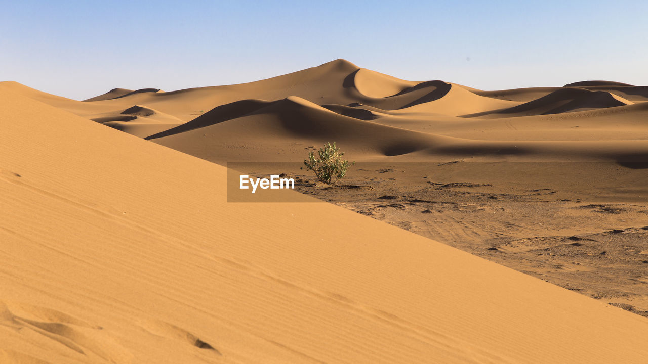 Sand dunes in desert against clear sky