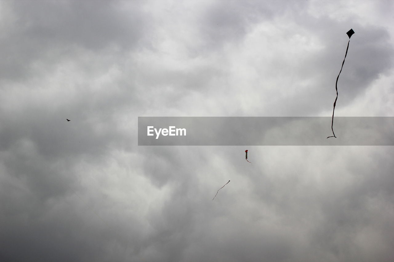 LOW ANGLE VIEW OF BIRDS FLYING AGAINST SKY