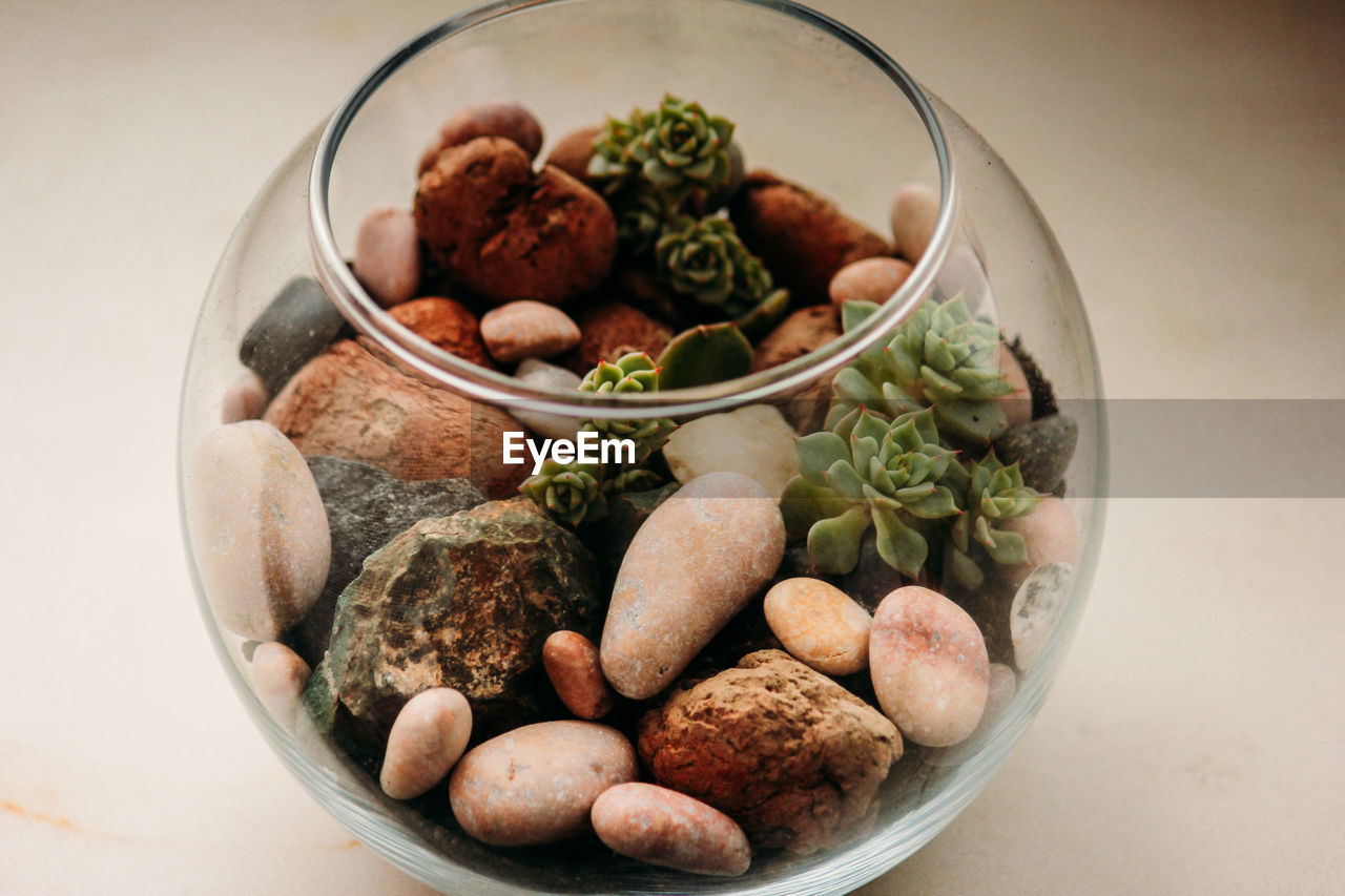 HIGH ANGLE VIEW OF FRESH VEGETABLES IN BOWL ON TABLE