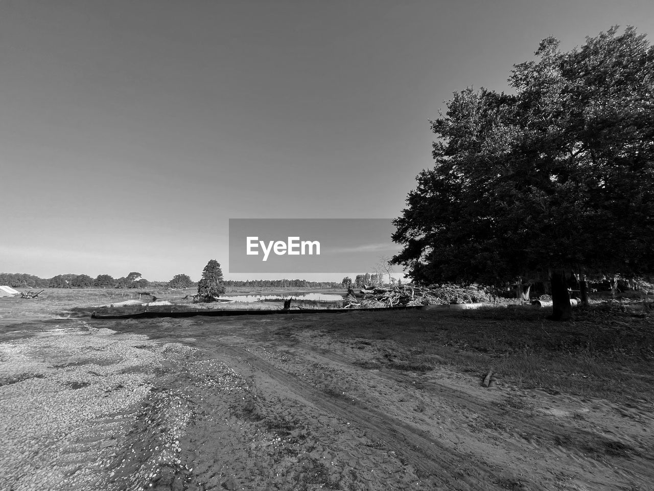 sky, black and white, tree, land, plant, monochrome, nature, horizon, monochrome photography, landscape, environment, scenics - nature, coast, tranquility, beauty in nature, morning, no people, sea, beach, tranquil scene, water, outdoors, travel destinations, architecture, travel, day, clear sky, shore, cloud, snow, non-urban scene, rural area, field