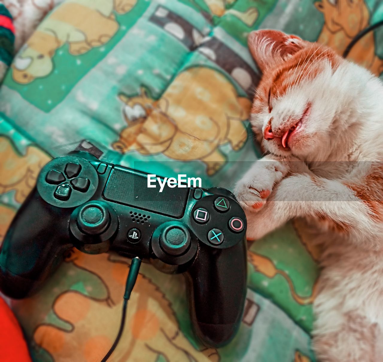 High angle view of cat sleeping with controller