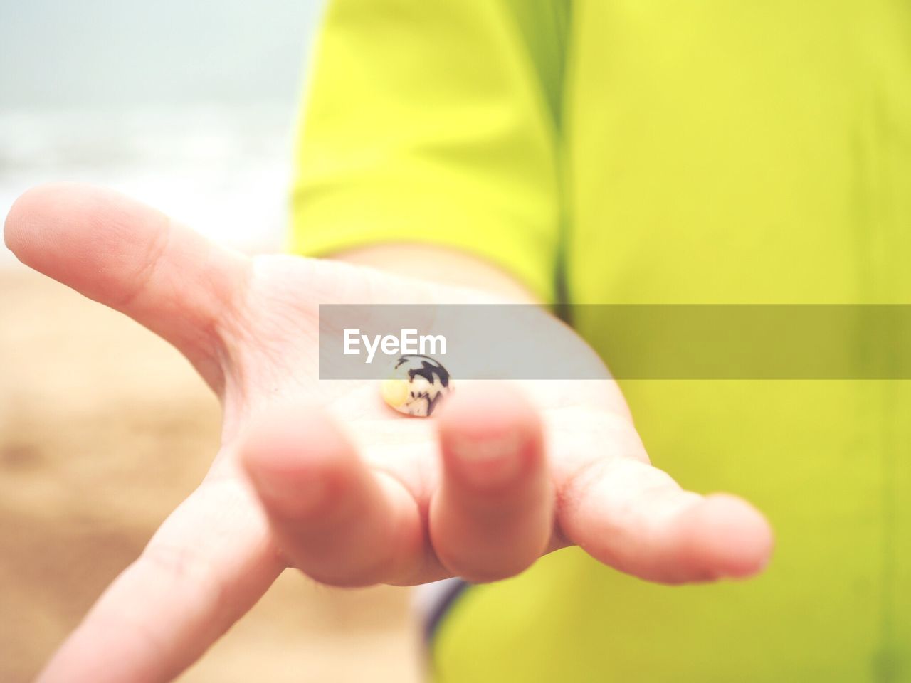 Midsection of person holding insect