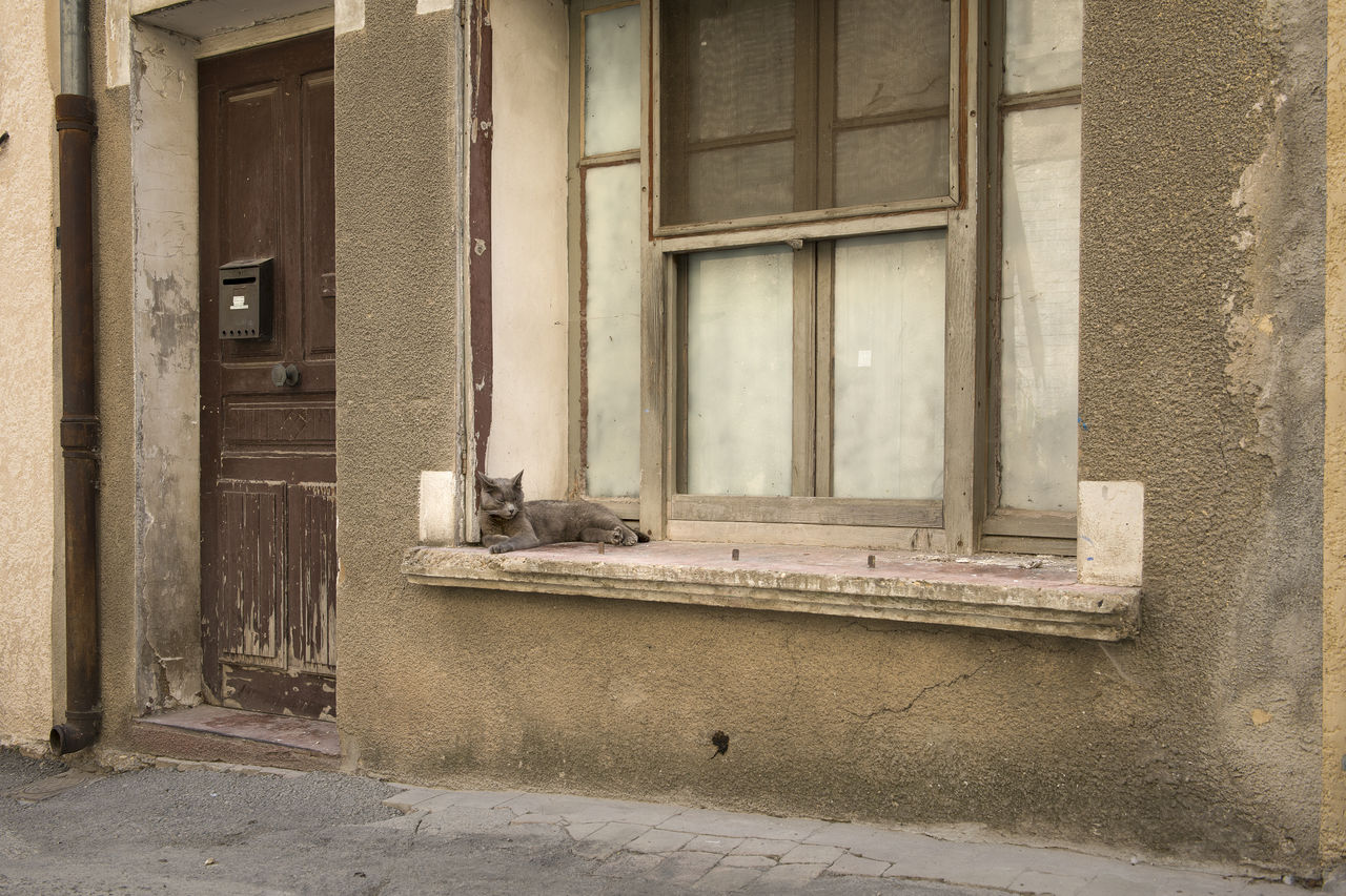 WINDOW OF OLD BUILDING