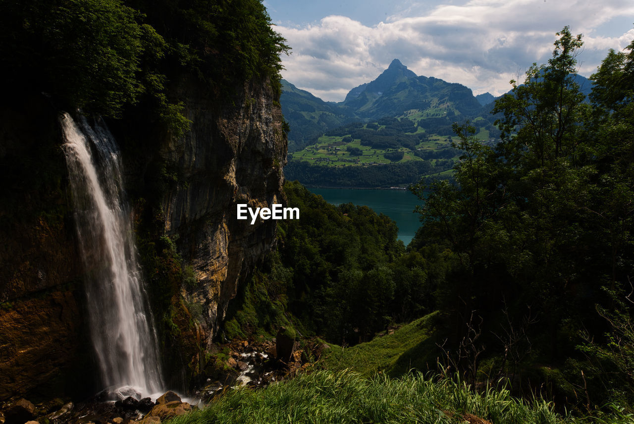 SCENIC VIEW OF WATERFALL AGAINST TREES IN FOREST