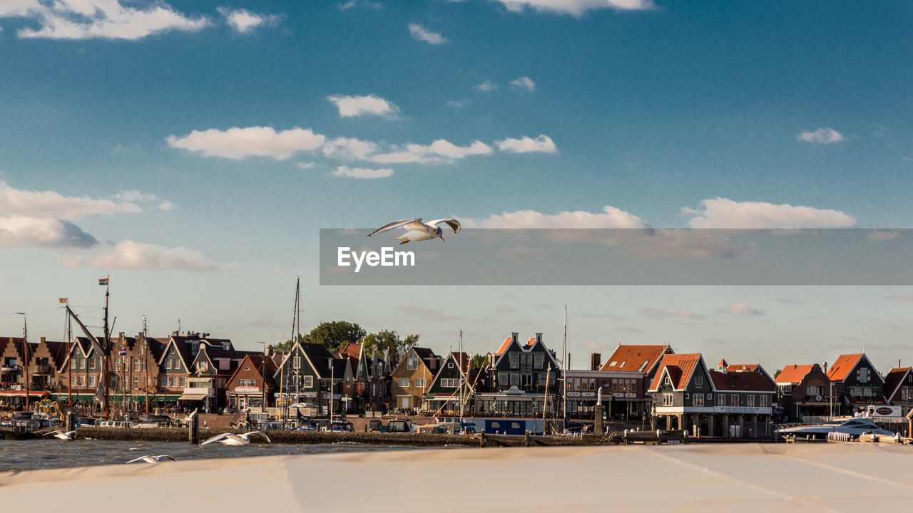 BIRD FLYING OVER CITY BY SEA AGAINST SKY