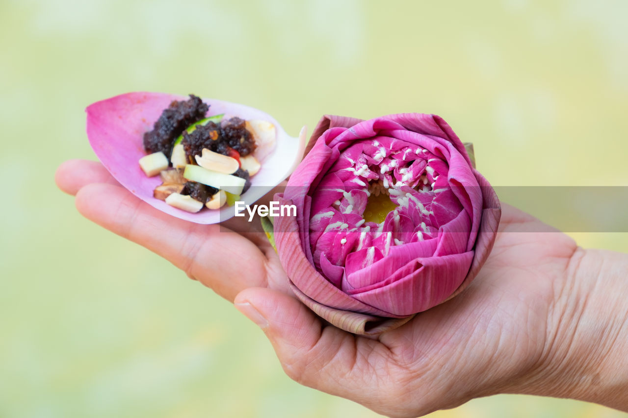 CLOSE-UP OF HAND HOLDING PURPLE FLOWER