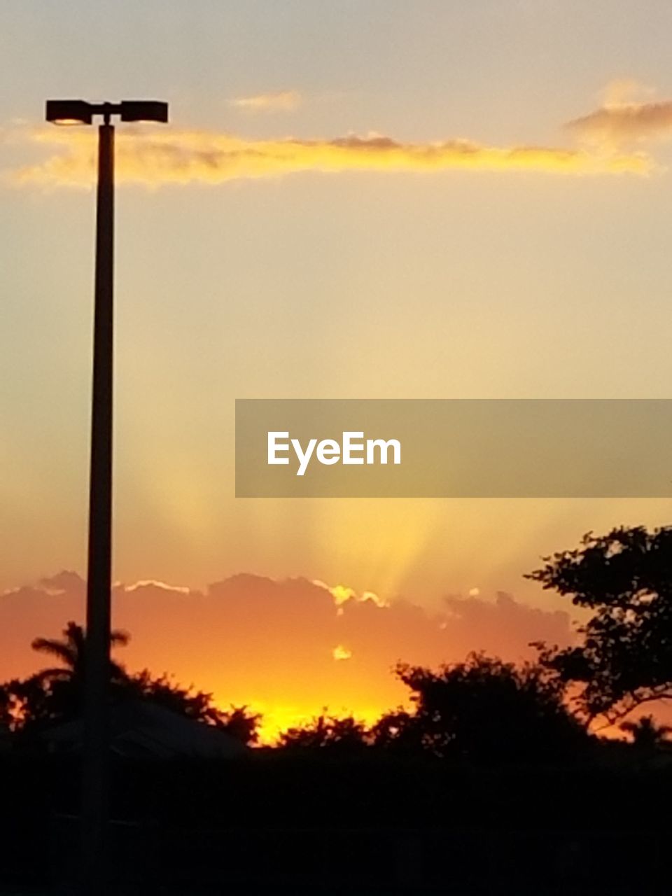 SILHOUETTE TREE AGAINST SKY DURING SUNSET