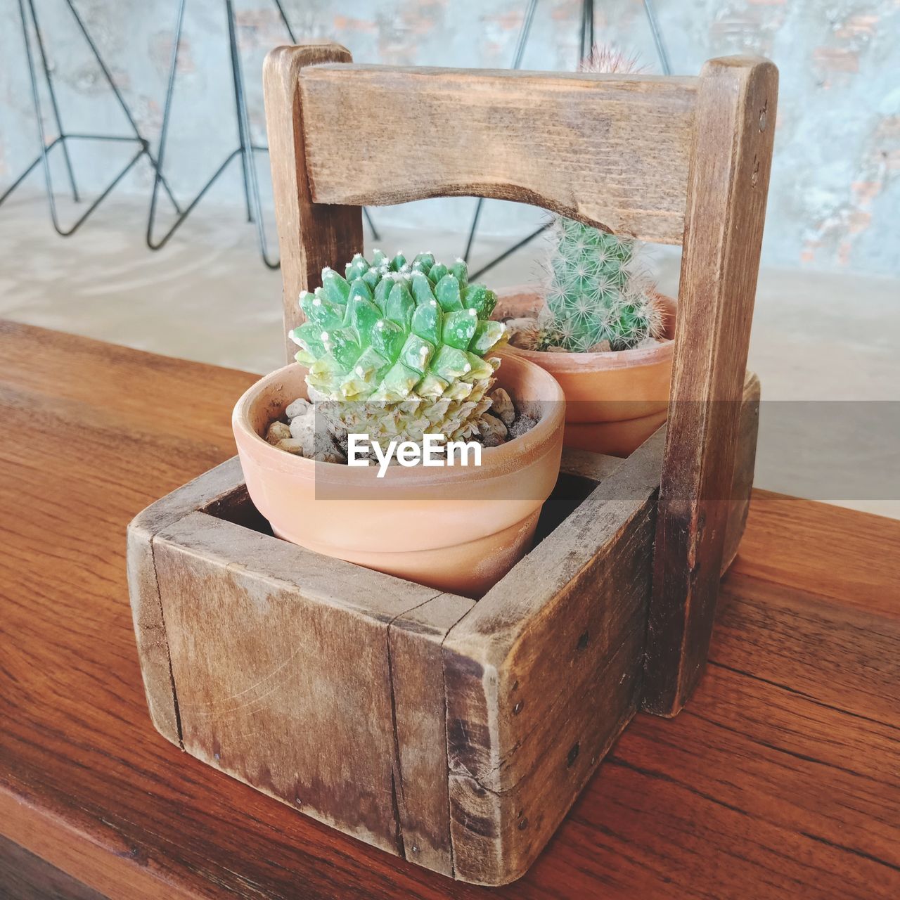 High angle view of potted plants on table