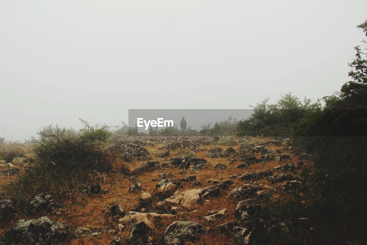 Scenic view of rocky field against clear sky