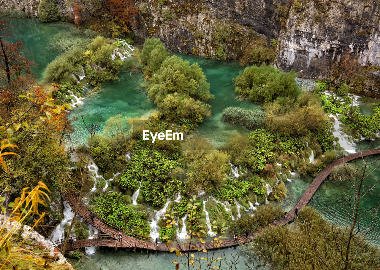 High angle view of lake along trees