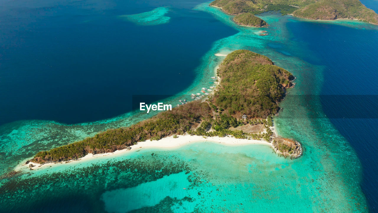 Aerial view tropical island with sand white beach, palm trees. malcapuya, philippines, palawan. 