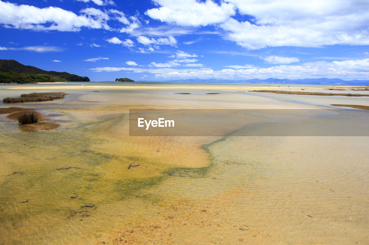 SCENIC VIEW OF BEACH