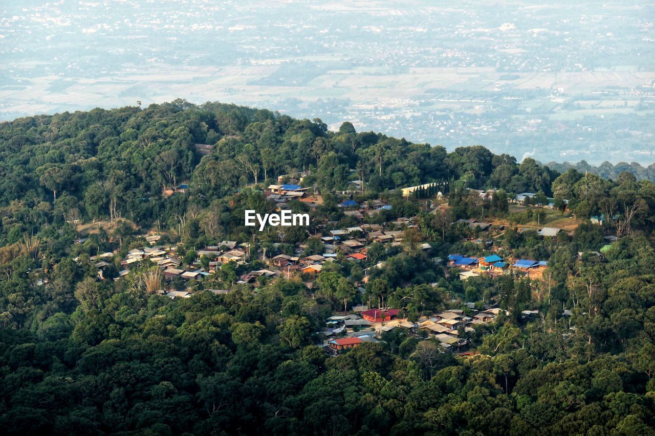 High angle view of trees and buildings in city