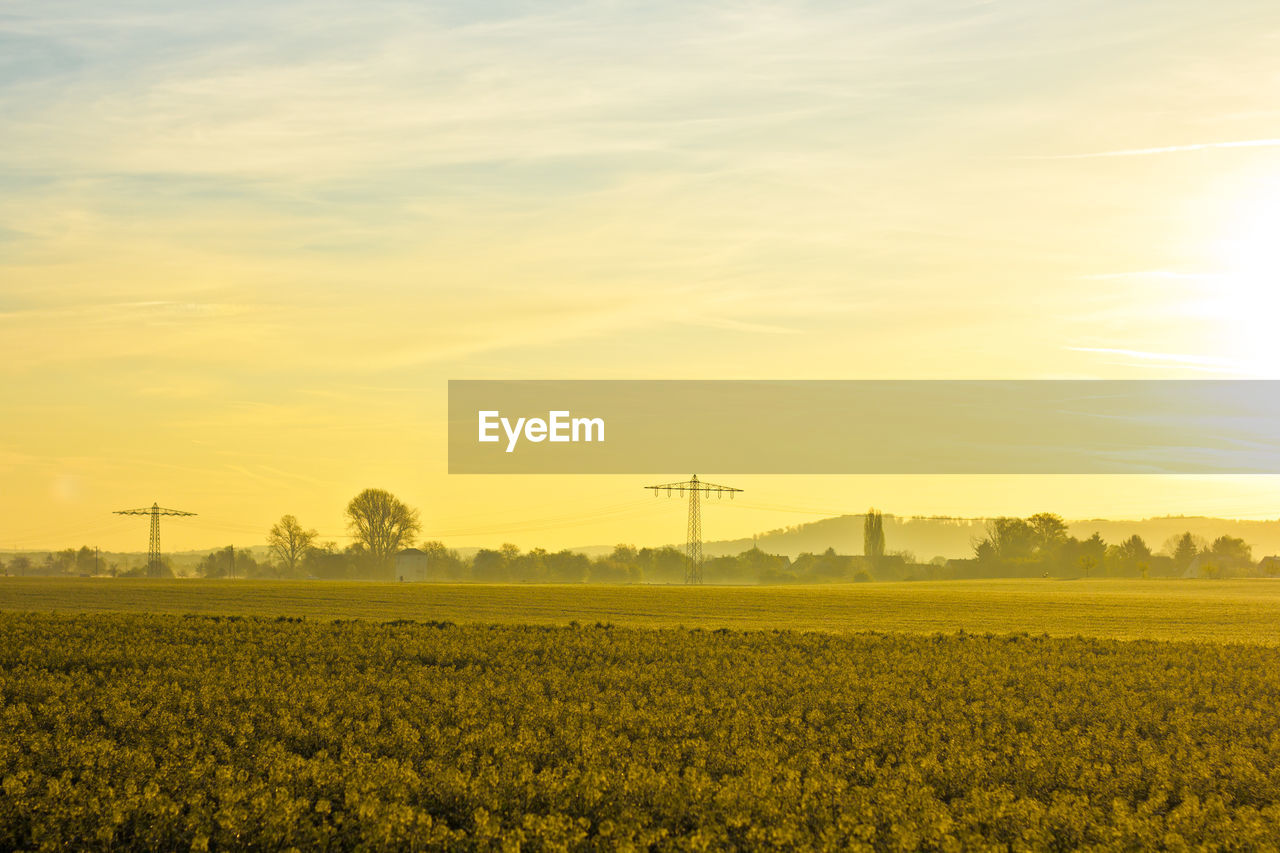 Scenic view of field against sky during sunset